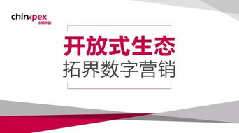 營銷視角下程序化行業(yè)的開放 技術(shù)咨詢的深層剖析