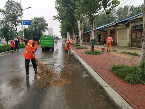 商丘環(huán)衛(wèi)部門開展道路深度清洗與設(shè)施安裝服務(wù) 全面提升市容環(huán)境品質(zhì)